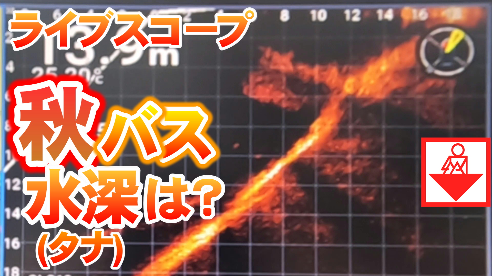 �y�u���b�N�o�X�z�H�̐��[(�^�i)�����C�u�X�R�[�v�Ō���